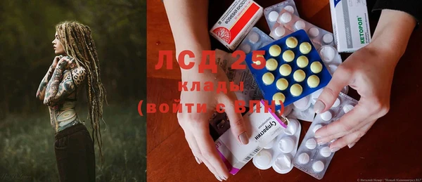 прущие грибы Верея