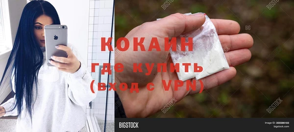 прущие грибы Волосово