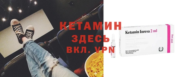 прущие грибы Верея