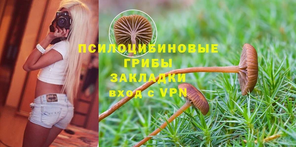 ешки Волоколамск