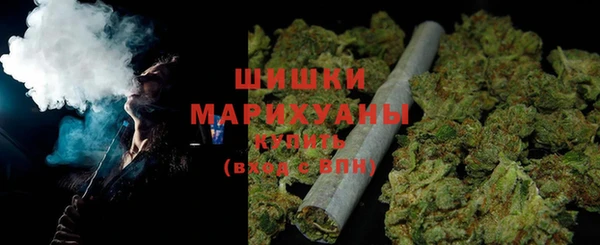 прущие грибы Волосово
