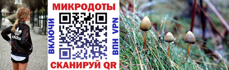 Галлюциногенные грибы Cubensis  дарнет шоп  Высоковск 